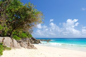 È la destinazione numero 1 per i viaggi di nozze, ma le Seychelles possono essere visitate anche con la famiglia